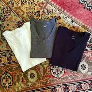 Everlane organic cotton v neck trio, Medium
